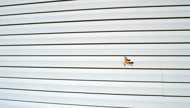 Best Storm Damage Siding Repair  in Heber, UT